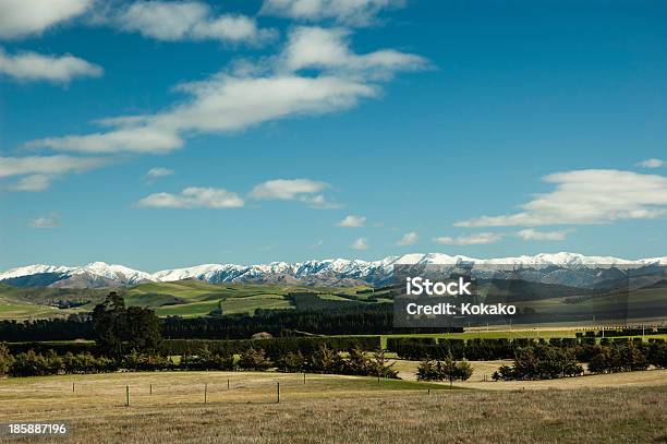 Scena Rurale Con Cappuccio Nevoso Montagne Canterbury Nuova Zelanda - Fotografie stock e altre immagini di Agricoltura