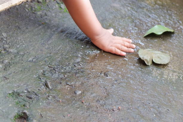 istock leaves fall on the ground when it rains 1858876286