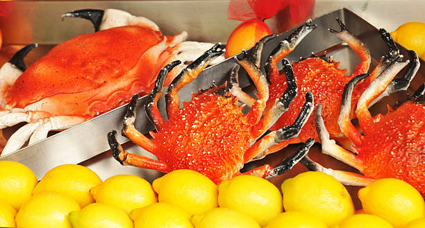 120+ What Is Artificial Crab Meat Stock Photos, Pictures & Royalty-Free