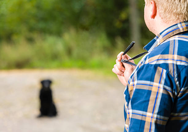 whistle-training - action dog outdoors animal trainer stock-fotos und bilder