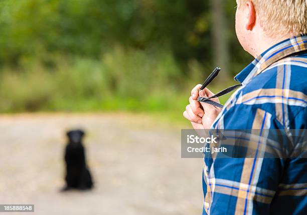 Whistle Training Stock Photo - Download Image Now - Dog, Whistle, Obedience Training