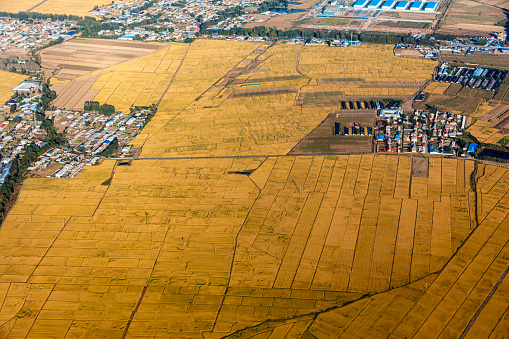Autumn aerial photography of farmland in northern China