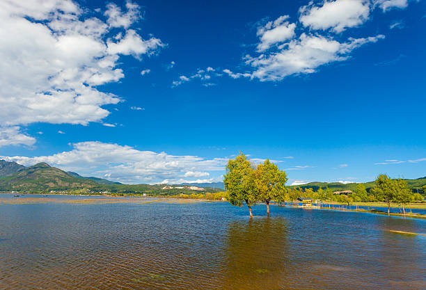 wetland de outono - lijiang landscape wetland marsh - fotografias e filmes do acervo