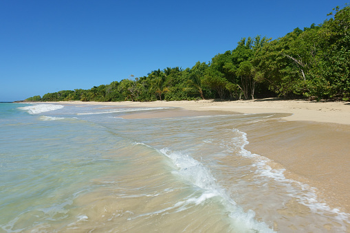 Caribbean beach of Grande Anse des Salines, Martinique