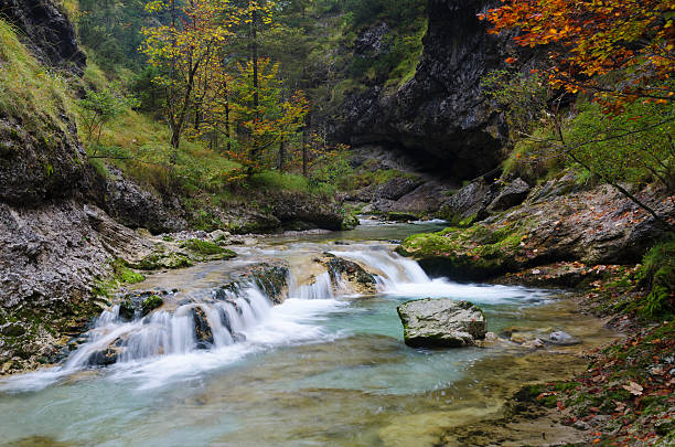 istock Weissbach Gorge near Inzell 185891312