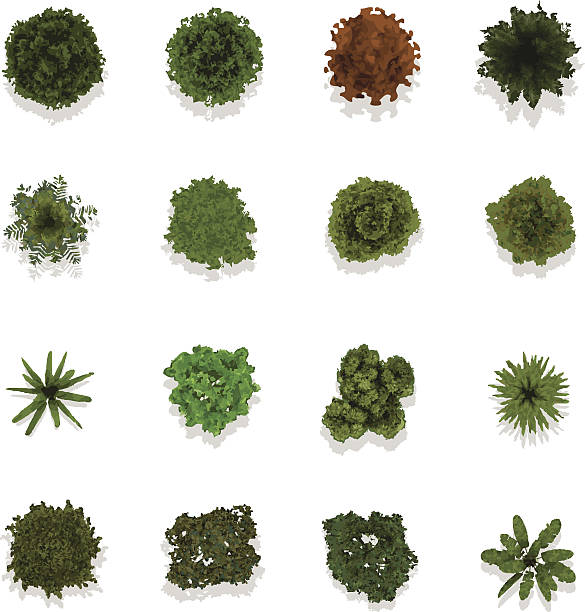 ilustrații de stoc cu vizualizarea sus copaci pentru ilustrația vectorială peisaj - peisaj urban