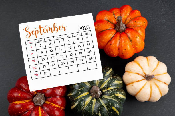 istock 2024 September calendar sheet and pumpkins on black. 1858916383
