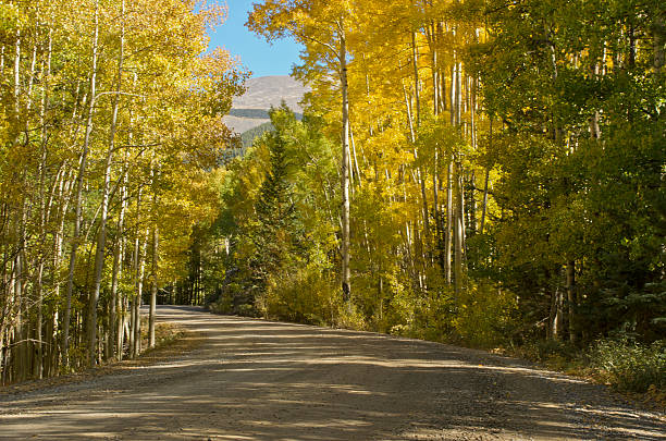 istock Autumn Road Adventure 185891662