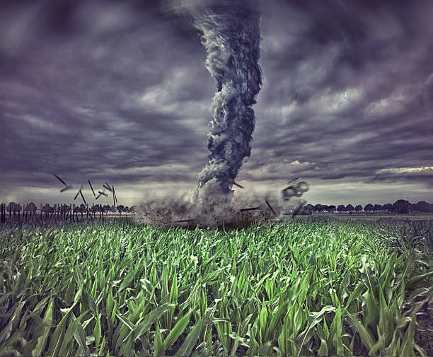 grande tornado wreaking caos em um campo - cyclone fence imagens e fotografias de stock