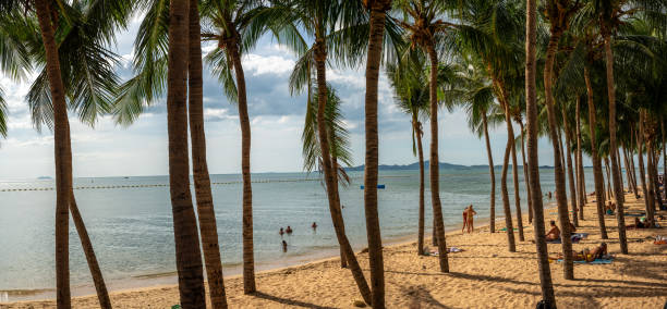 ジョムティエンビーチはパタヤのエリアの1つです。ジョムティエンビーチのヤシの木の下の砂浜で休暇を過ごす観光客。パノラマ - bali hai ストックフォトと画像