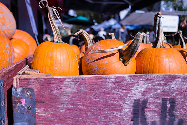 istock fresh pumpkin in autumn 185894000