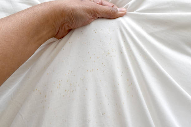 istock Dirty pillow case in woman hand. 1858974625