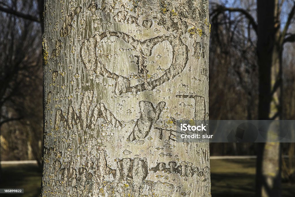 H eart con le iniziali incise con Tronco d'albero-Corazon - Foto stock royalty-free di Intagliare