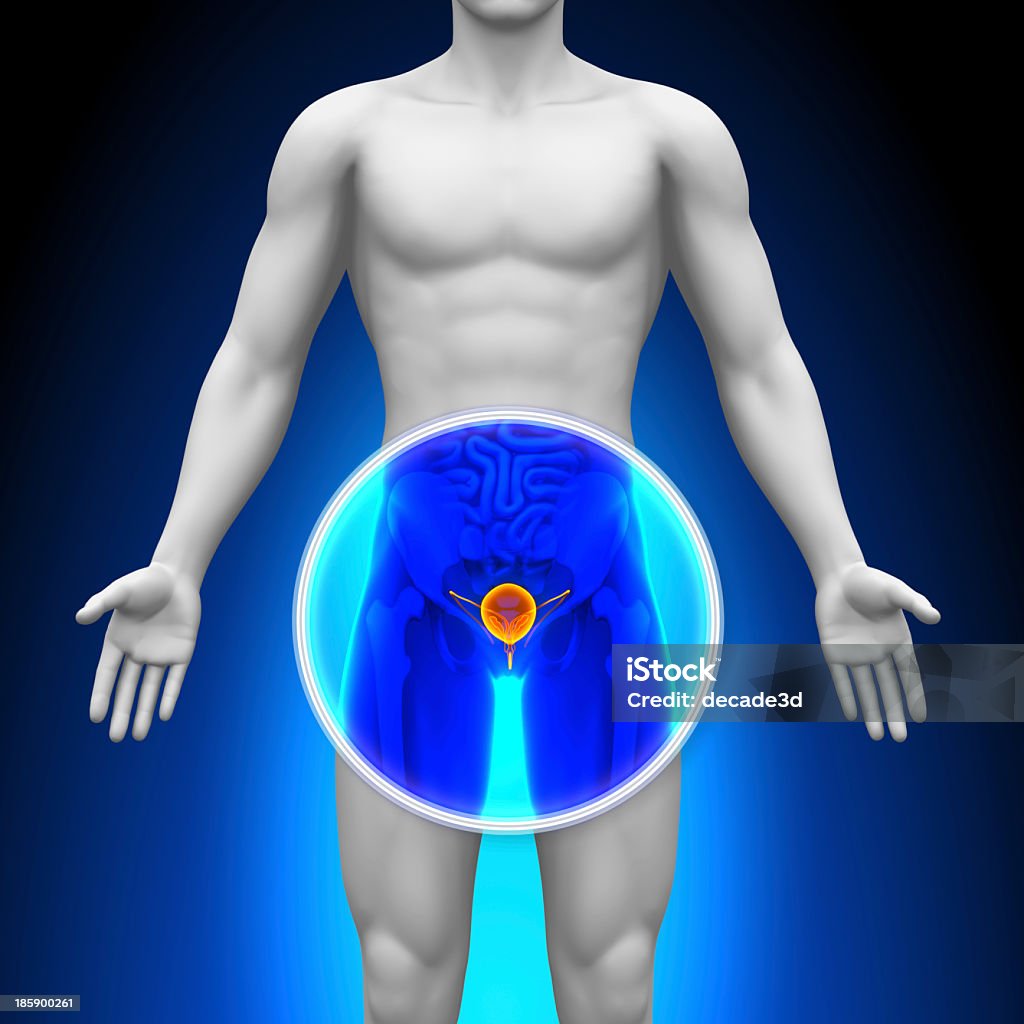 Representation of medical x-ray scan showing the prostate Medical X-Ray Scan - Prostate Prostate Gland Stock Photo