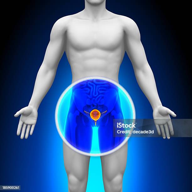 Representation Of Medical Xray Scan Showing The Prostate Stock Photo - Download Image Now