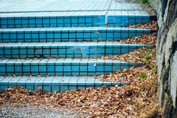 stairs filled with fallen leaves