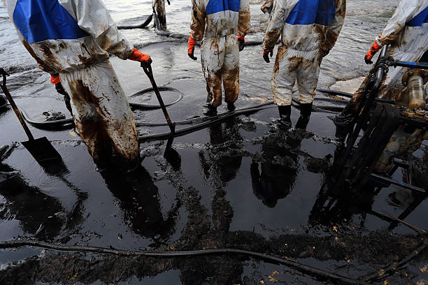 clean up Crude oil stain at Ao Prao Beach  in , Rayong, Thailand