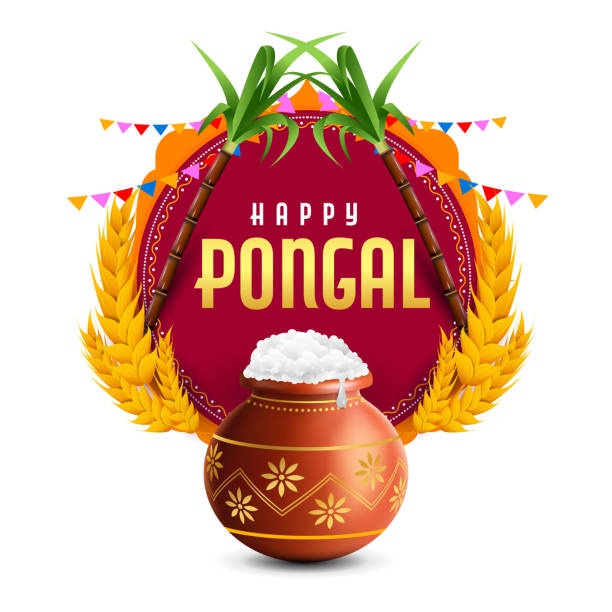 illustration of Happy Pongal Holiday Harvest Festival of Tamil Nadu South India greeting background illustration of Happy Pongal Holiday Harvest Festival of Tamil Nadu South India greeting background happy pongal pics stock illustrations