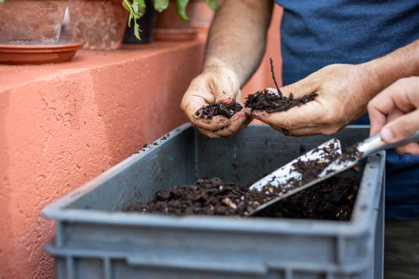istock Father and son composting organic remains in home composter 1859045410