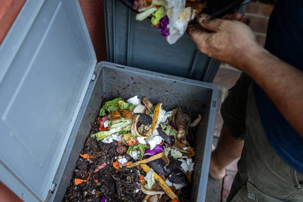 istock Man composting organic remains in home composter 1859047565