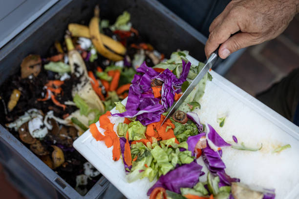 istock Man composting organic remains in home composter 1859049642