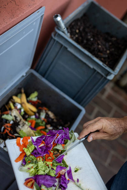 istock Man composting organic remains in home composter 1859049649