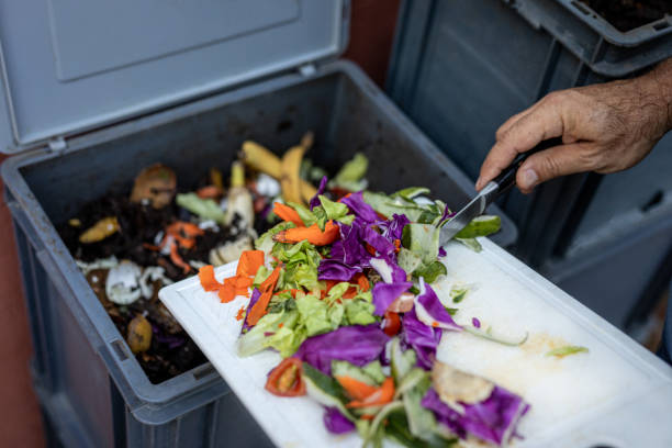 istock Man composting organic remains in home composter 1859049650