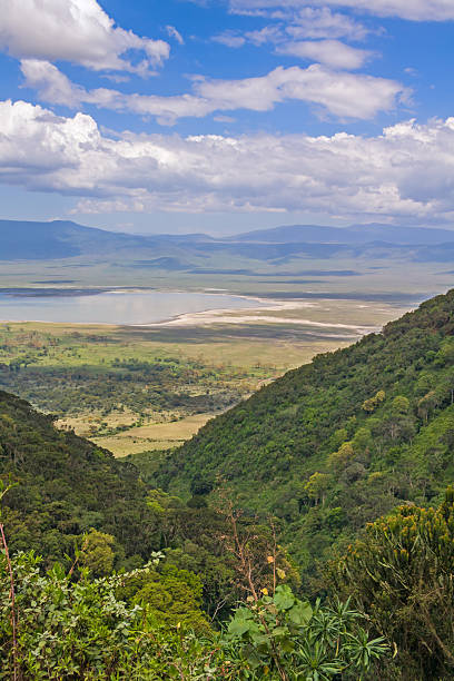 istock View from cleft on huge Ngorongoro caldera with lake 185907215