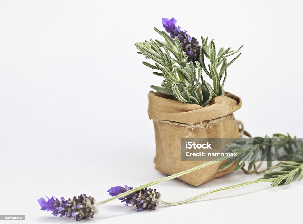 Lavanda - Foto de stock de Aromaterapia royalty-free