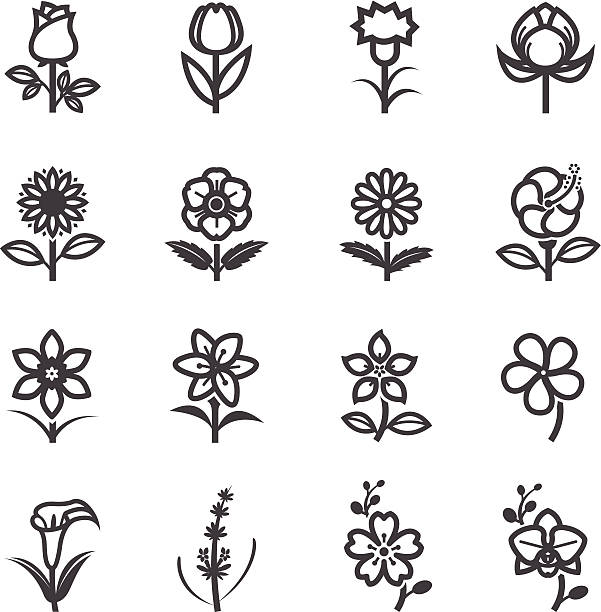 ilustraciones, imágenes clip art, dibujos animados e iconos de stock de iconos de flores - tulip sunflower single flower flower