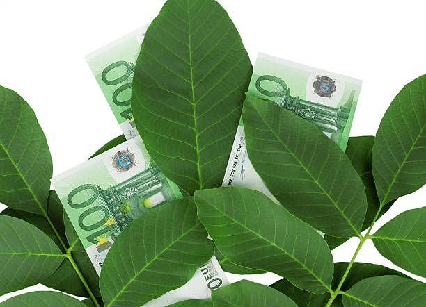 istock Euro in the leaves 185909102