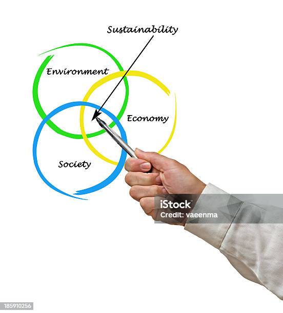 Diagram Of Sustainability Stock Photo - Download Image Now - Activist, Adult, Charity and Relief Work