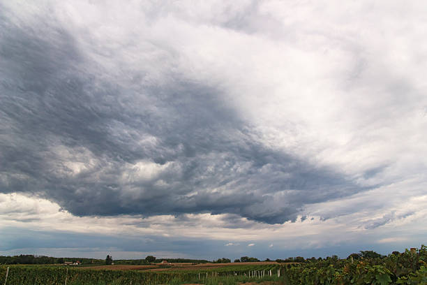 ストーム、ブドウ園 - meteorology sky cloud light ストックフォトと画像