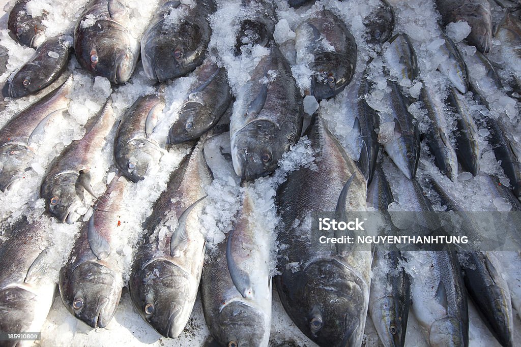 Pesce fresco su ghiaccio visualizzato in vietnam - Foto stock royalty-free di Affari