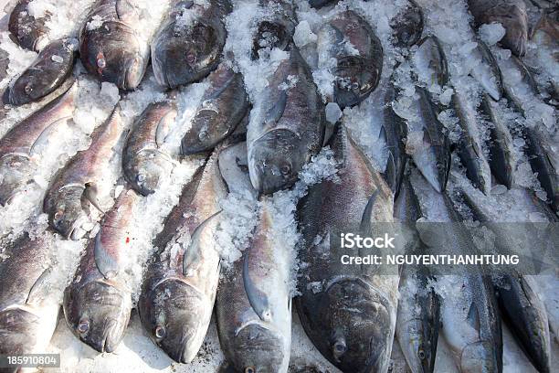 Pesce Fresco Su Ghiaccio Visualizzato In Vietnam - Fotografie stock e altre immagini di Affari - Affari, Alimentazione sana, Animale morto