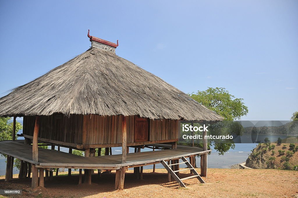 Tibar bay, East Timor: traditional timorese house Tibar bay, East Timor / Timor Leste: traditional timorese house with pyramid thatched roof with horns and walls made of bamboo and areca palm / casa tradicional timorense - photo by M.Torres Architecture Stock Photo