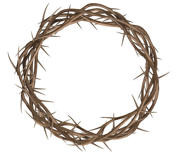 Crown Of Thorns Top A top view of branches of thorns woven into a crown depicting the crucifixion on an isolated background the passion of jesus stock pictures, royalty-free photos & images