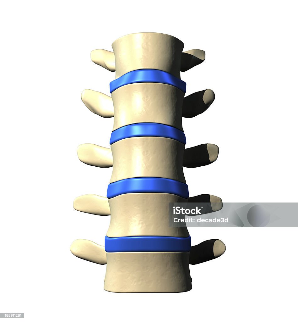 Da coluna lombar-Anterior Vista frontal - Foto de stock de Anatomia royalty-free