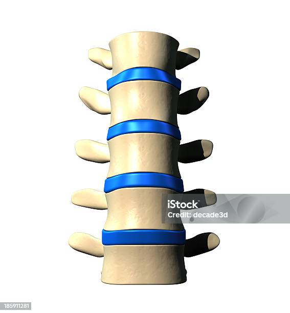 Foto de Da Coluna Lombaranterior Vista Frontal e mais fotos de stock de Anatomia - Anatomia, Artrite, Biologia