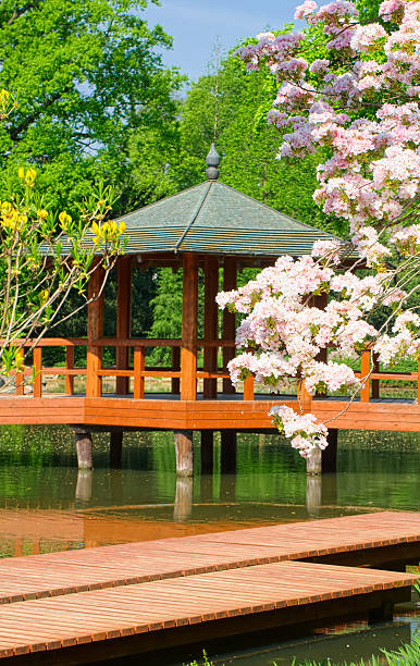 istock Japanese pagoda in Wroclaw, Poland 185911495