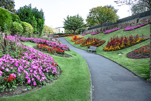 summer park with beautiful flower beds