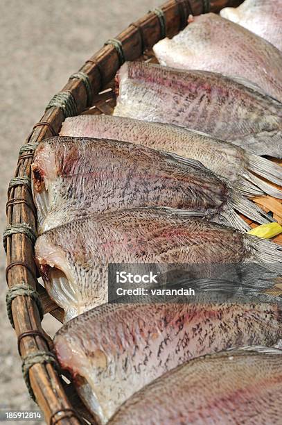 Сухое Сепат Сиам Змеиная Кожа Gourami — стоковые фотографии и другие картинки Азиатская культура