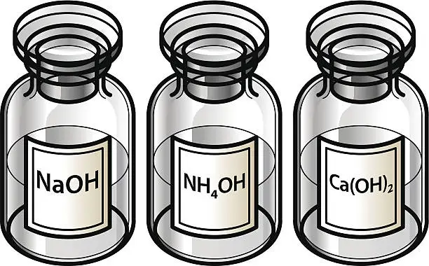 Vector illustration of Bases