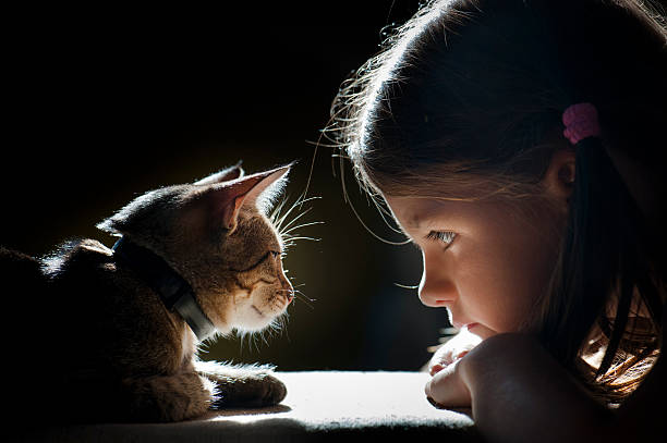 istock child looks into the eyes cat 185913449