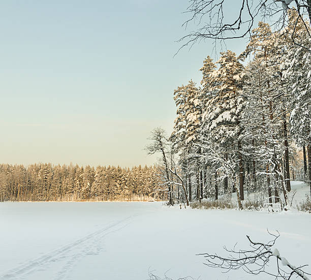 istock Russian winter lake in ice and snow 185914852