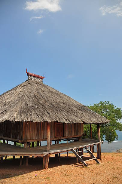 istock Tibar bay, East Timor: traditional timorese house 185915057