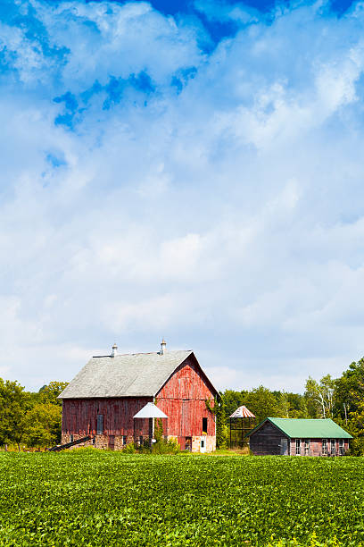 istock American Farmland With Blue Cloudy Sky 185916476