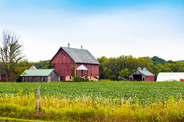 istock American Farmland With Blue Cloudy Sky 185917055
