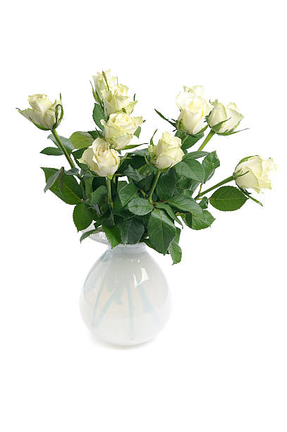 istock white roses in vase 185919060