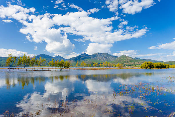 zone humide d'automne - lijiang landscape wetland marsh photos et images de collection